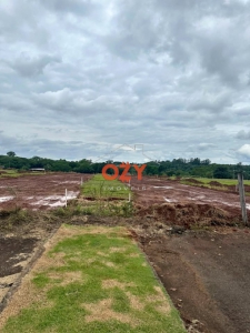 LOTEAMENTO PIONEIROS II